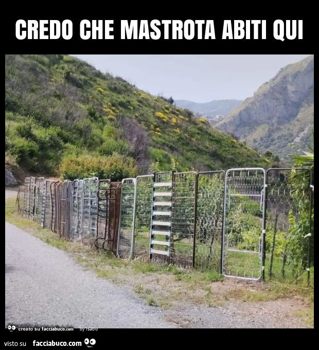 Credo che mastrota abiti qui