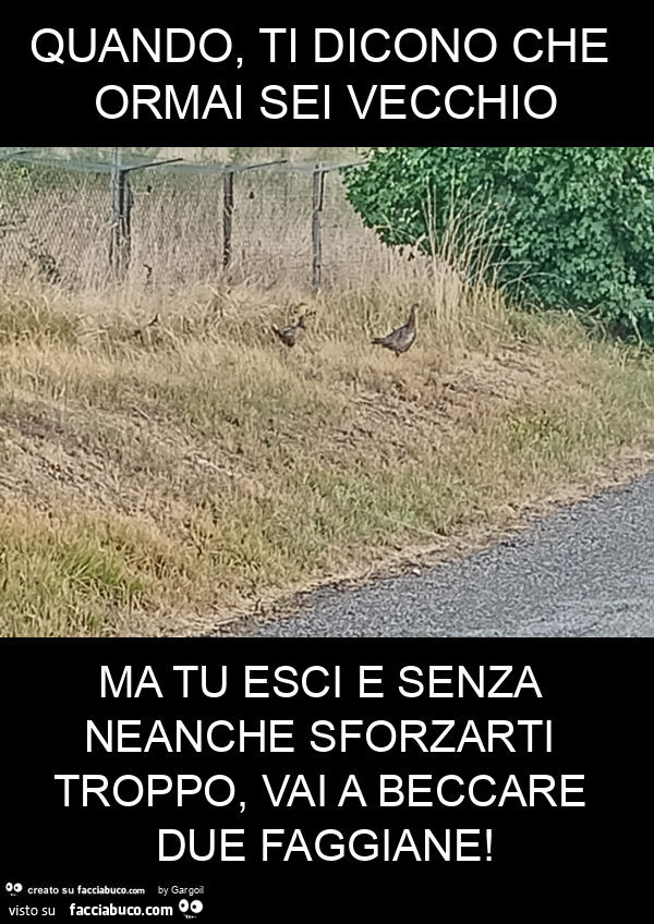 Quando, ti dicono che ormai sei vecchio ma tu esci e senza neanche sforzarti troppo, vai a beccare due faggiane