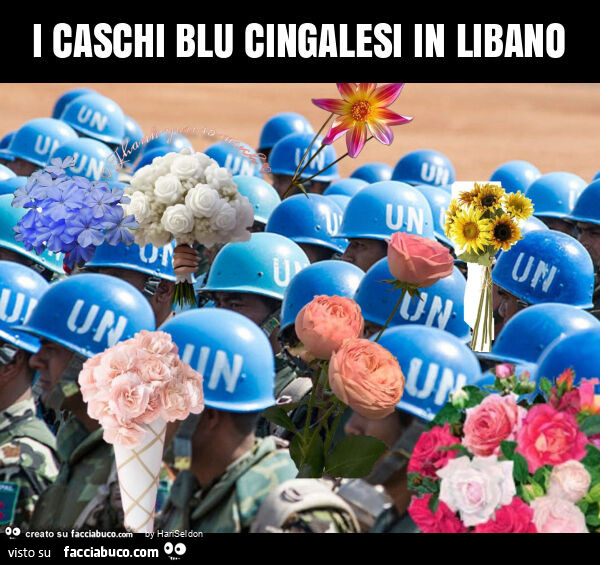 I caschi blu cingalesi in libano