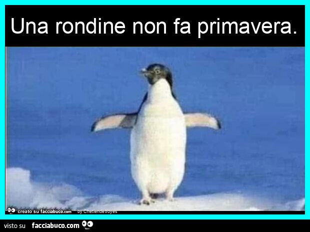 Una rondine non fa primavera