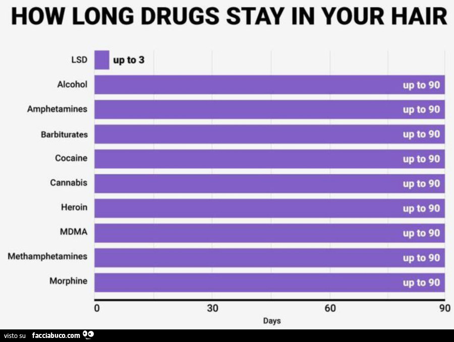 Statistiche: quanto dura l'effetto nel corpo di alcune droghe?