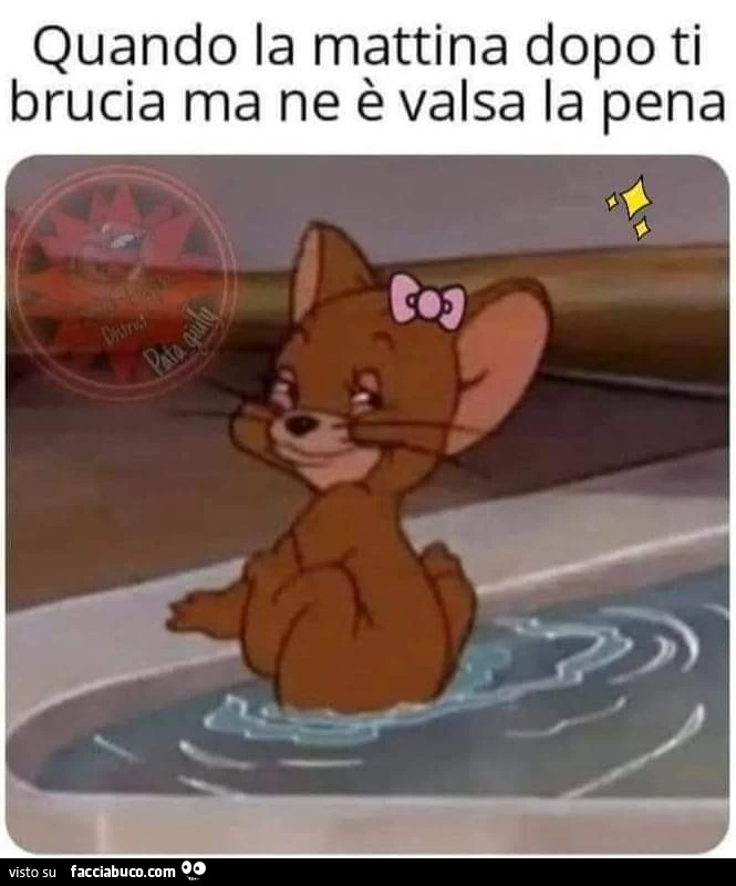 Vaccata