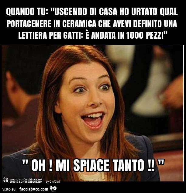 Quando tu: "uscendo di casa ho urtato qual portacenere in ceramica che avevi definito una lettiera per gatti: è andata in 1000 pezzi"