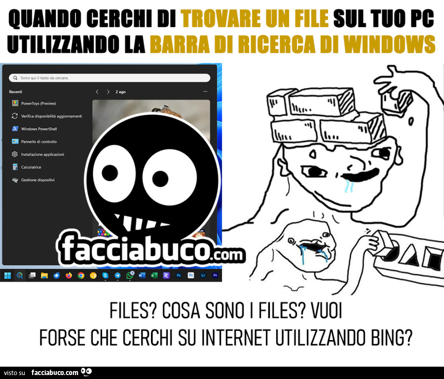 Quando cerchi di trovare un file sul tuo pc utilizzando la barra di ricerca di winows… Files? Cosa sono i files? Vuoi forse che cerchi su internet utilizzando bing?