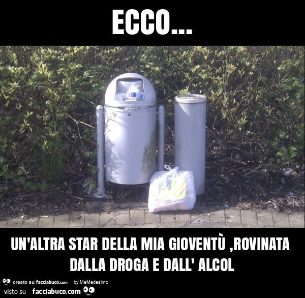 Ecco… un'altra star della mia gioventรน, rovinata dalla droga e dall' alcol