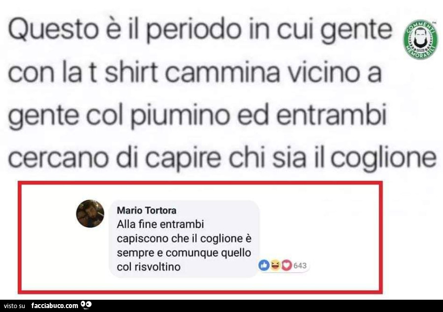 Alla fine entrambi capiscono che il coglione è sempre e comunque quello col risvoltino