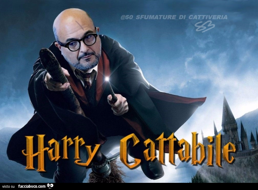 Harry Cattabile