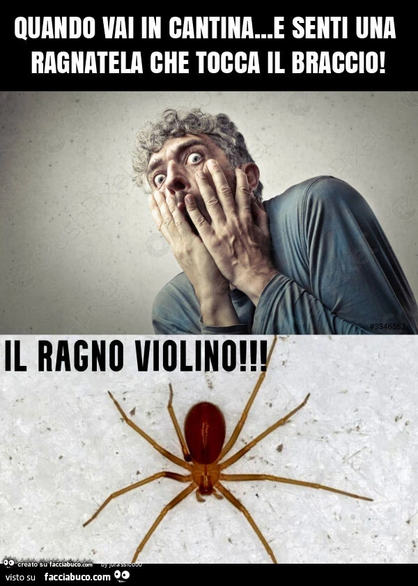 Quando vai in cantina… e senti una ragnatela che tocca il braccio