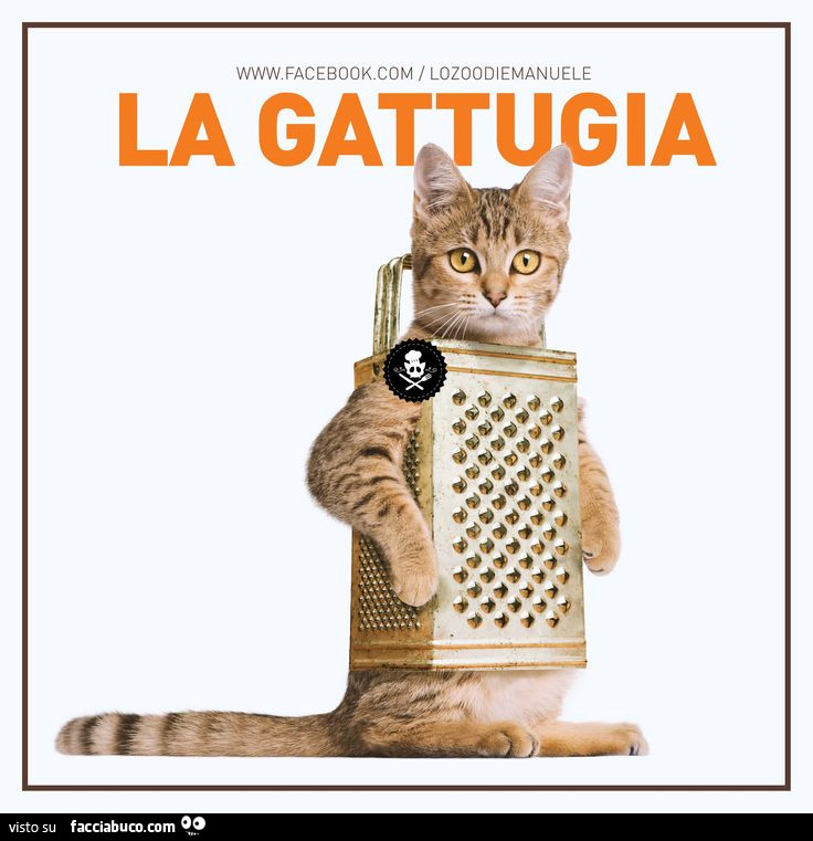 La gattugia