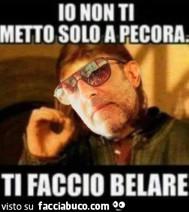 Vaccata
