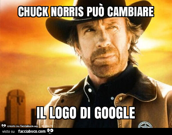 Chuck norris può cambiare il logo di google