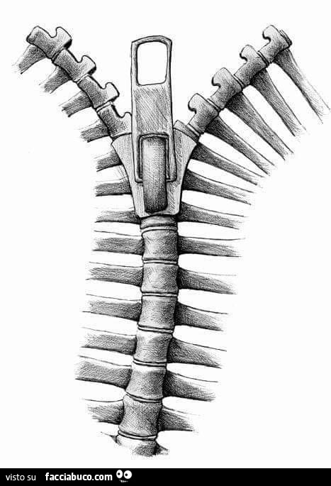Cerniera spina dorsale