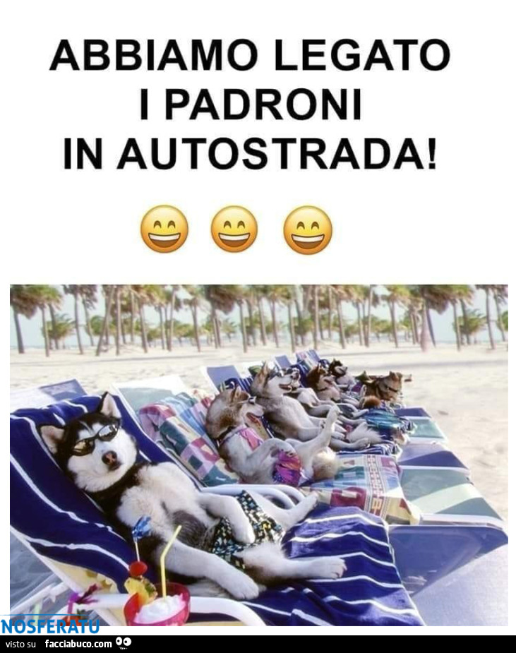 Non abbandonare il tuo cane quando vai in vacanza