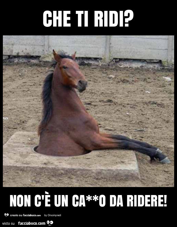 Che ti ridi? Non c'è un ca**o da ridere