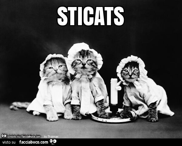 Sticats