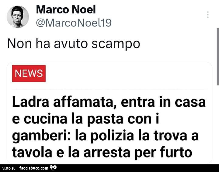 Non ha avuto scampo. Ladra affamata, entra in casa e cucina la pasta con i gamberi: la polizia la trova a tavola e la arresta per furto