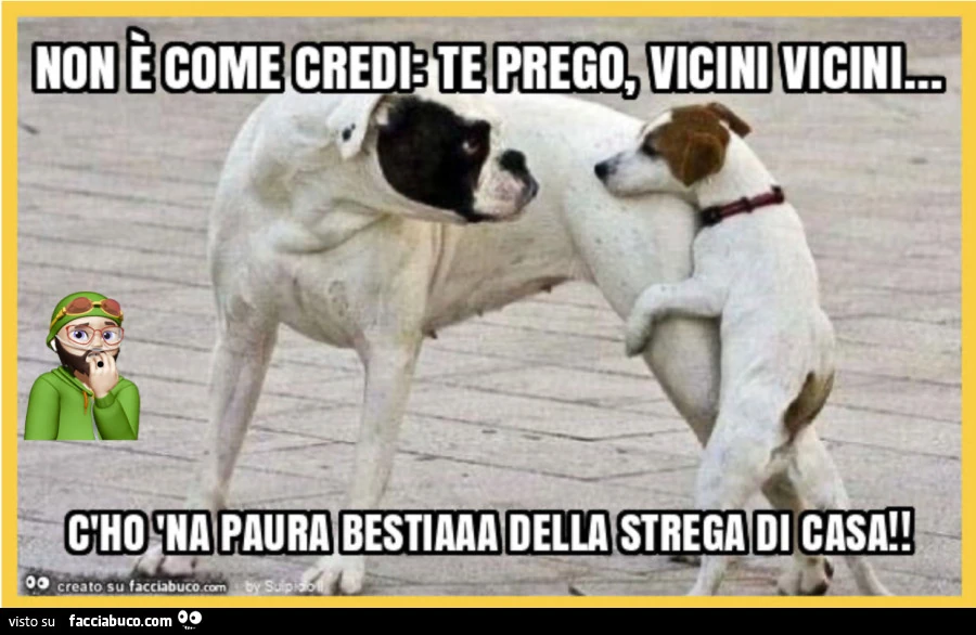 La paura gioca sempre brutti scherzi&hellip; Guarda che Te magno se non smonti