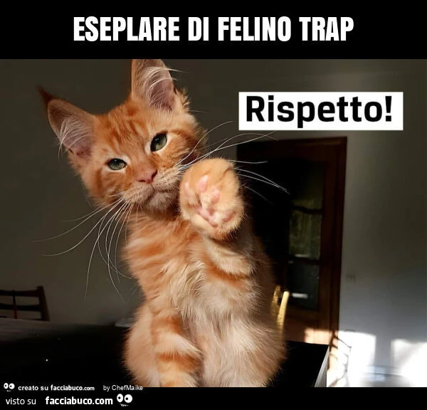 Eseplare di felino trap
