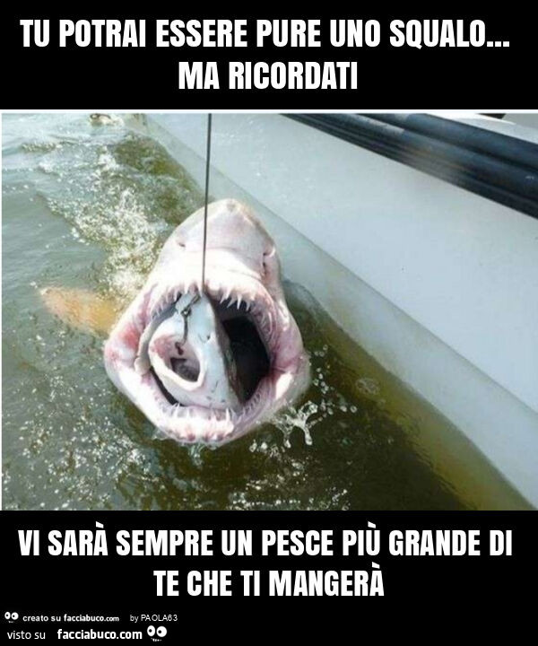 Tu potrai essere pure uno squalo… ma ricordati vi sarà sempre un pesce più grande di te che ti mangerà