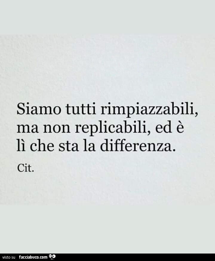 Siamo tutti rimpiazzabili, ma non replicabili, ed è lì che sta la differenza