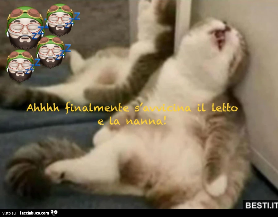 Ahhh finalmente si avvicina il letto e la compagnia notturna di Morfeo! Miaoooouuu