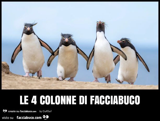 Le 4 colonne di facciabuco