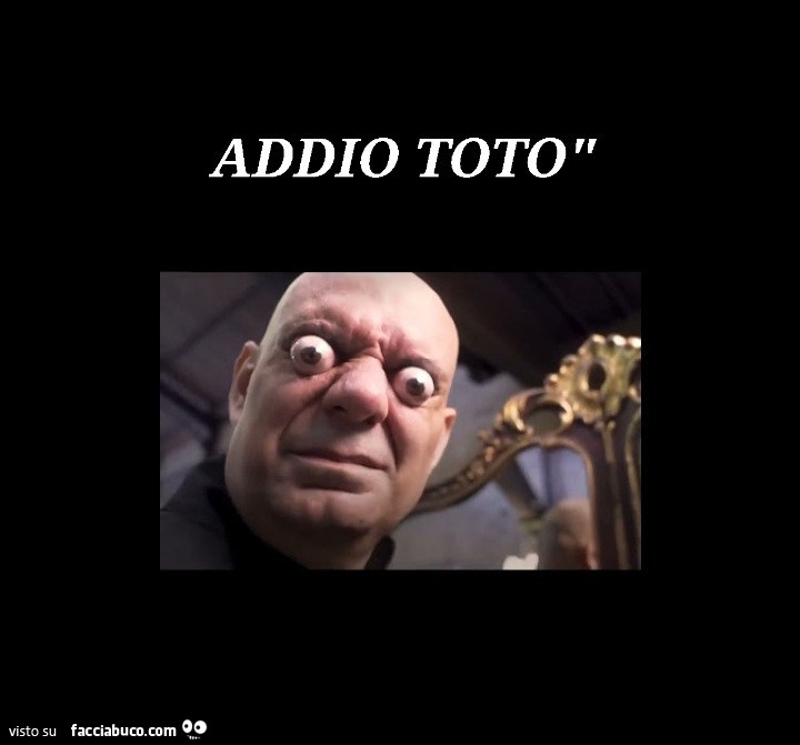 Addio toto