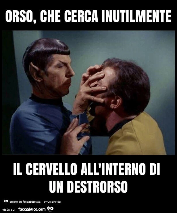 Orso, che cerca inutilmente il cervello all'interno di un destrorso