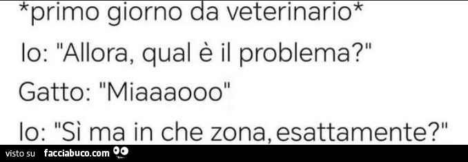 Primo giorno a veterinario. Io: allora, qual è il problema? Gatto: miaaaooo. Io: sì ma in che zona, esattamente?