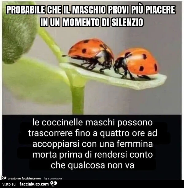 Probabile che il maschio provi più piacere in un momento di silenzio
