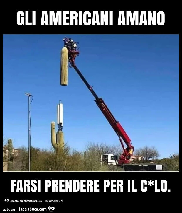 Gli americani amano farsi prendere per il c*lo