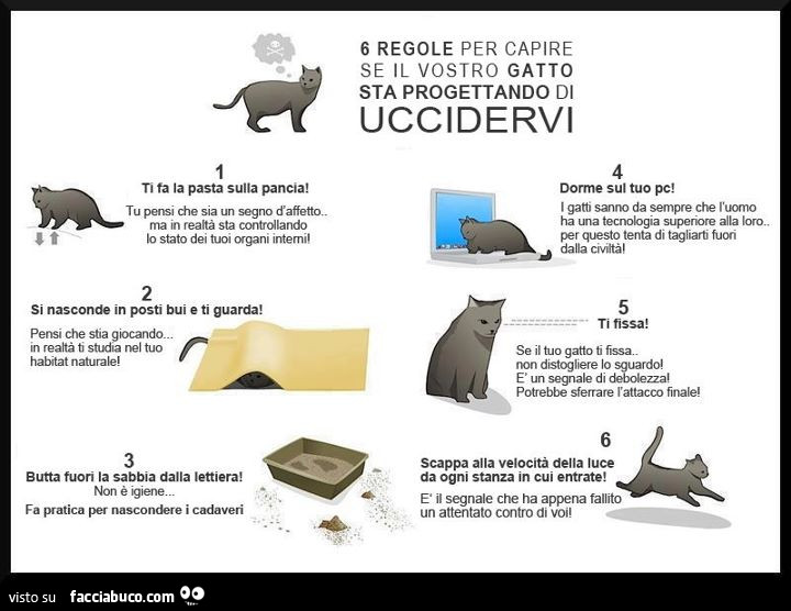 6 regole per capire se il vostro gatto sta progettando di uccidervi