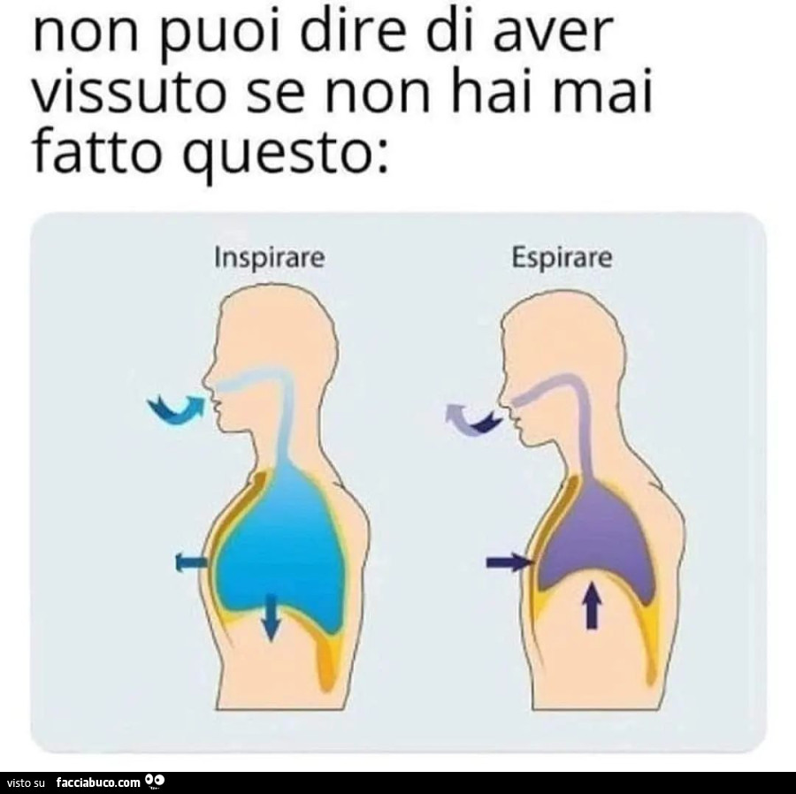 Non puoi dire di aver vissuto se non hai mai fatto questo: inspirare espirare