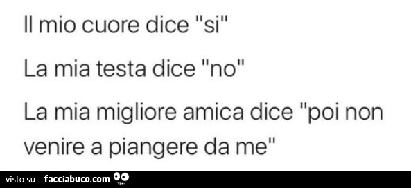 Il mio cuore dice si, la mia testa dice no, la mia migliore amica dice poi non venire a piangere da me