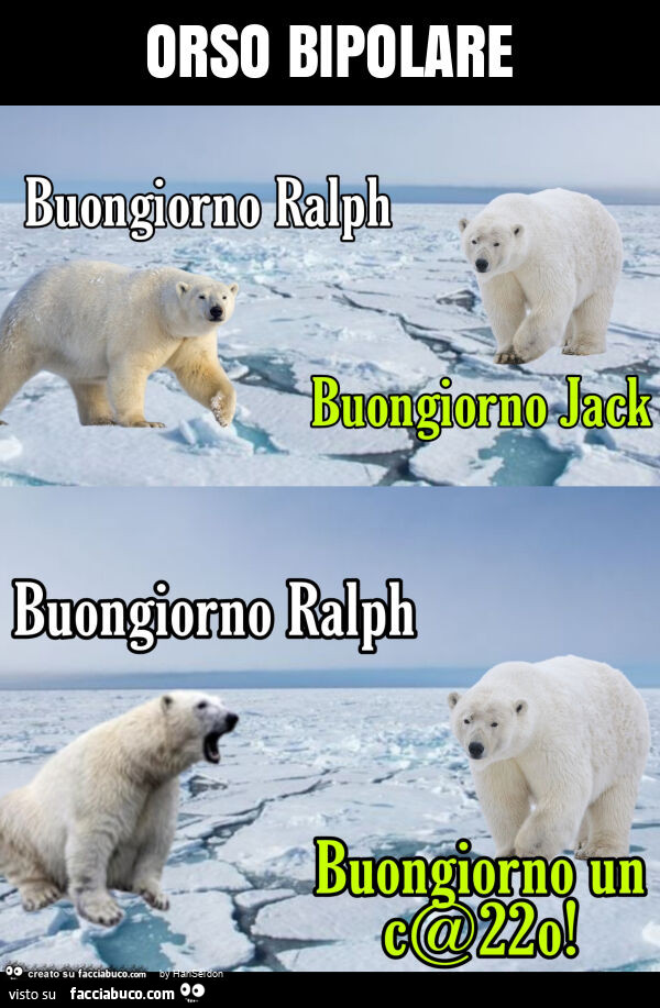 Orso bipolare