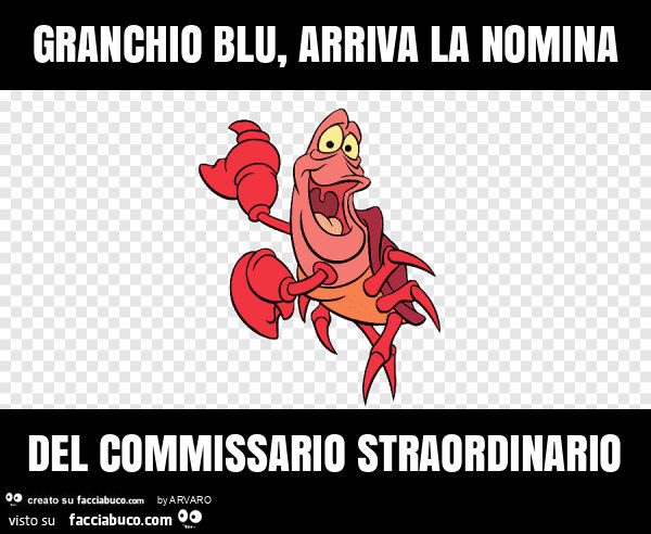 Granchio blu, arriva la nomina del commissario straordinario