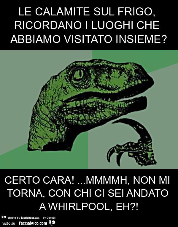 Le calamite sul frigo, ricordano i luoghi che abbiamo visitato insieme? Certo cara! … mmmmh, non mi torna, con chi ci sei andato a whirlpool, eh?