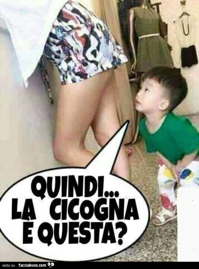 Cicogna