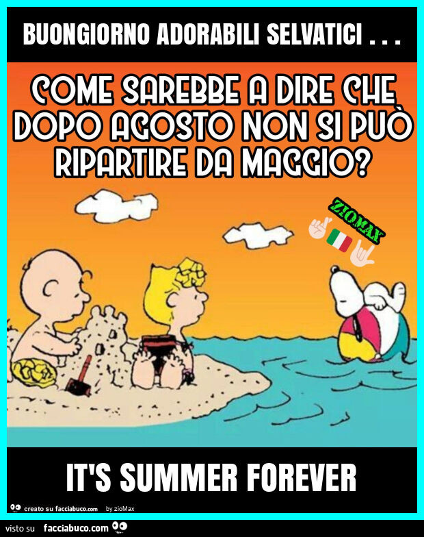 Buongiorno adorabili selvatici… it's summer forever