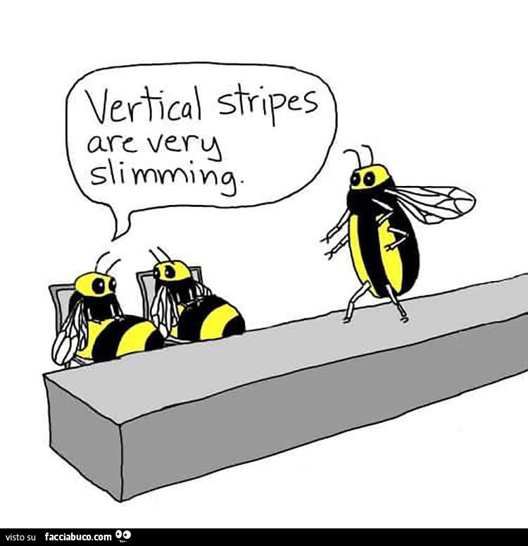 Vertical stripes are very slimming