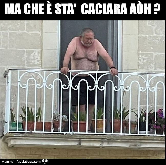Vaccata