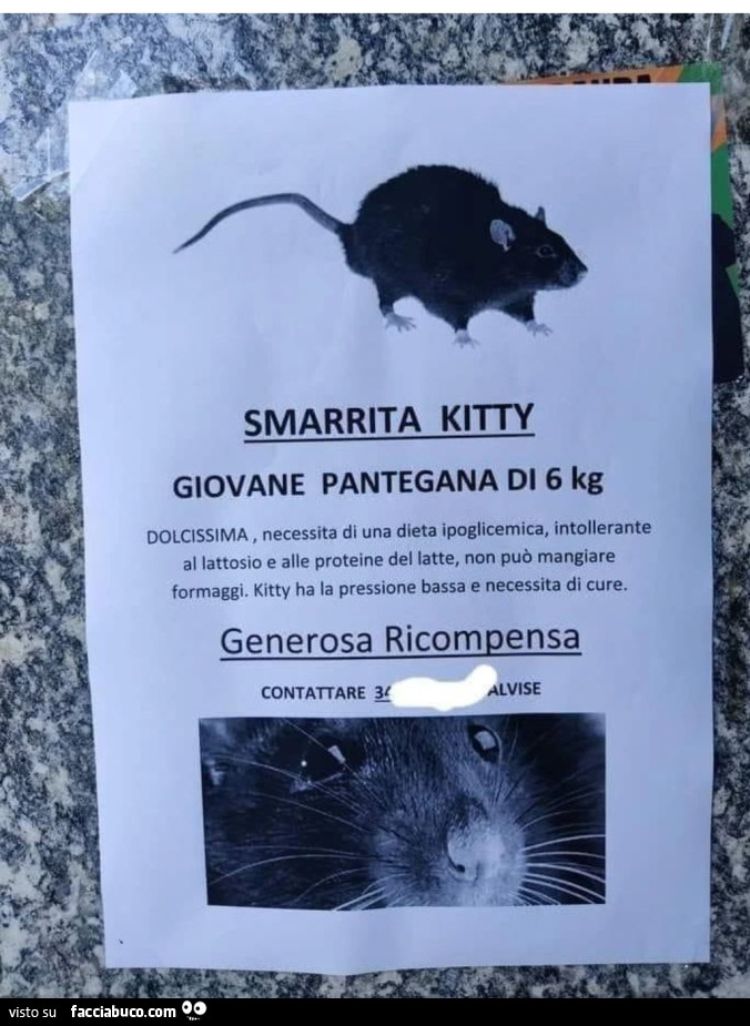 Vaccata