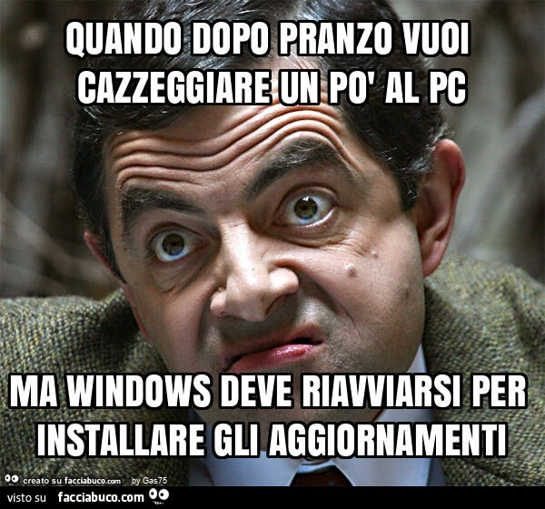 Quando dopo pranzo vuoi cazzeggiare un po' al pc ma windows deve riavviarsi per installare gli aggiornamenti