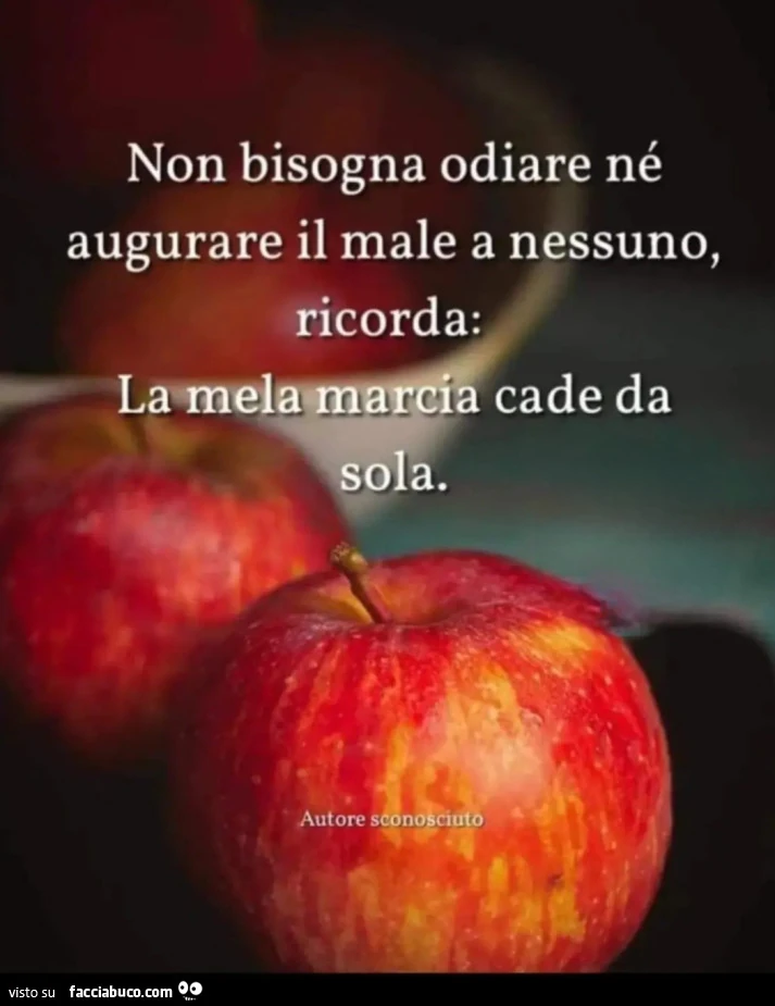 Non bisogna odiare nรฉ augurare male a nessuno ricorda la mela marcia cade da sola