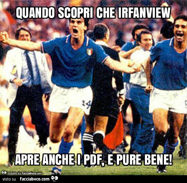 Quando scopri che irfanview apre anche i pdf, e pure bene