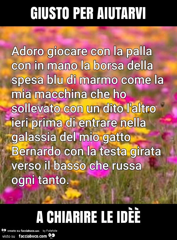 Giusto per aiutarvi a chiarire le idèè