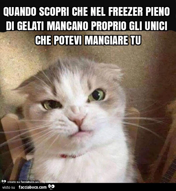 Quando scopri che nel freezer pieno di gelati mancano proprio gli unici che potevi mangiare tu