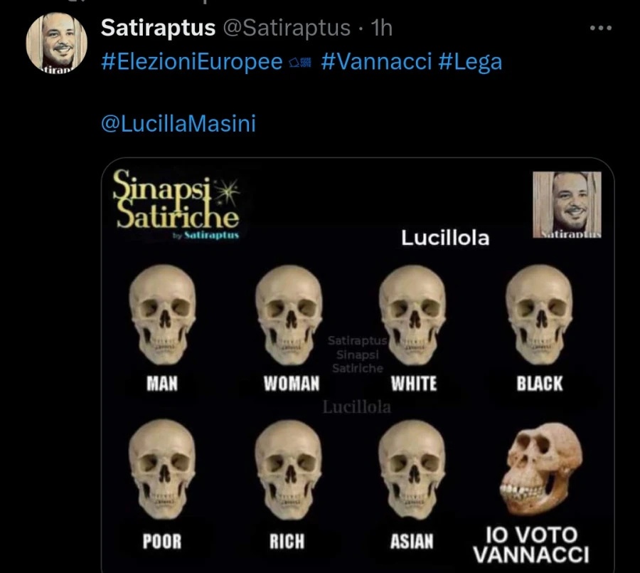 Teschio io voto vannacci