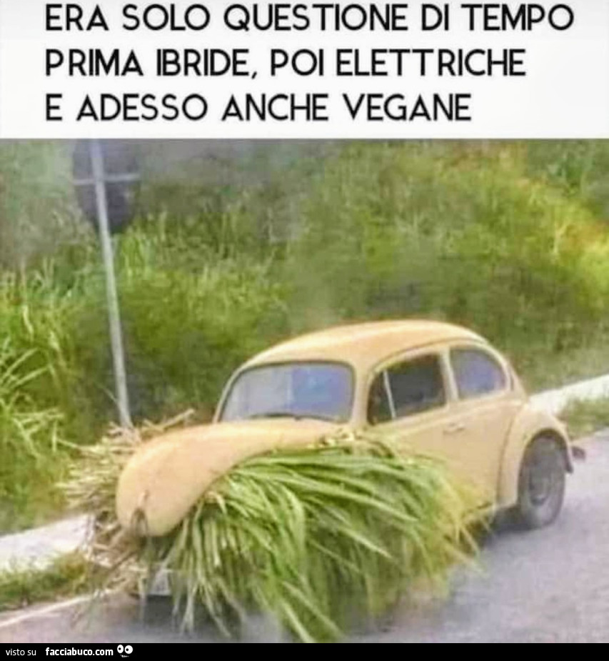 Vegano