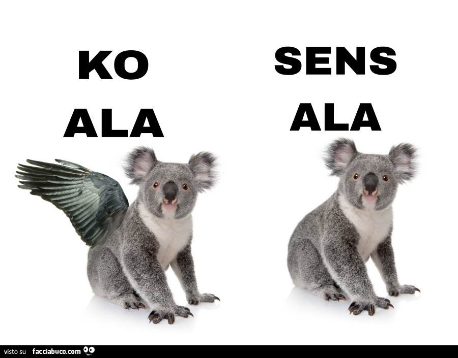 Ko ala. Sens ala